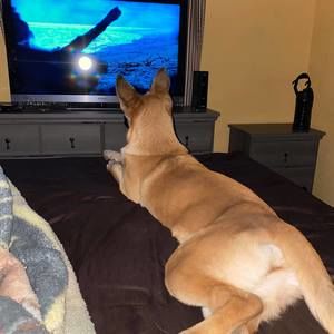 Meet your Posher, Alberto